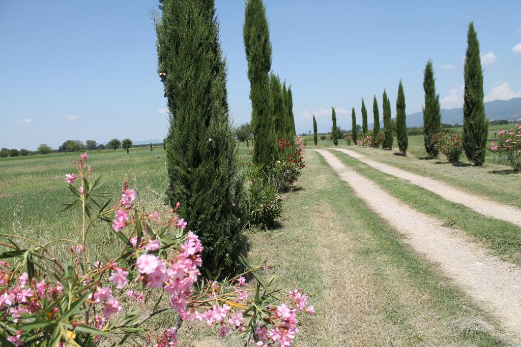Il Grifone A Cortona Residence Exterior photo